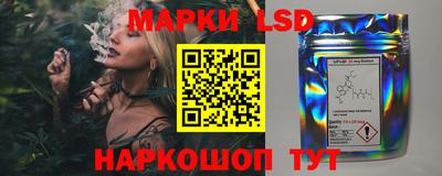 крисы Шебекино