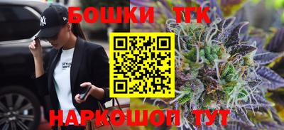 крисы Шебекино