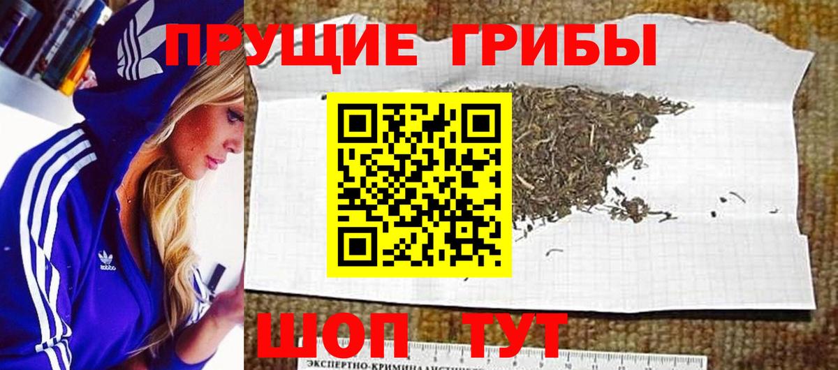 Псилоцибиновые грибы мицелий Борисоглебск