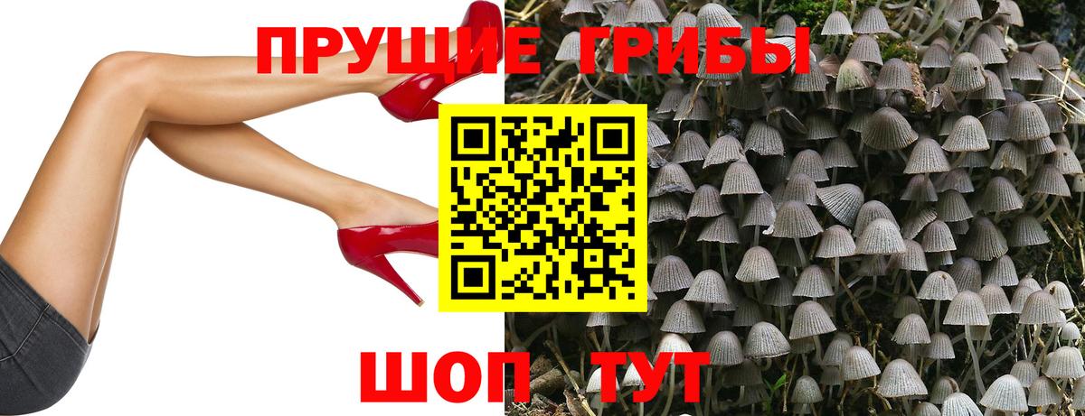Борисоглебск  Галлюциногенные грибы MAGIC MUSHROOMS  Вход с VPN 